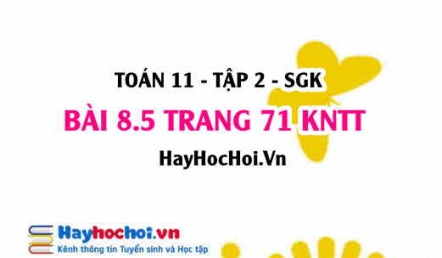Bài 8.5 trang 71 Toán 11 tập 2 Kết nối tri thức